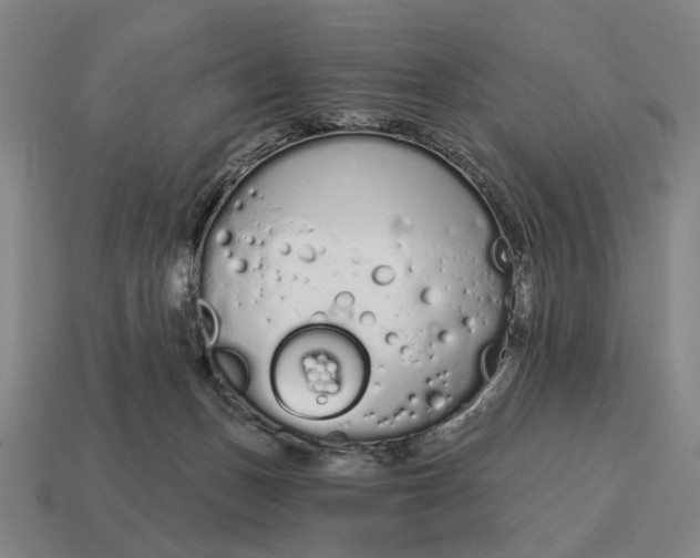 X0000115110175200911101613