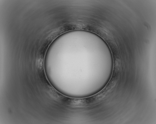 X0000115110177200911101613