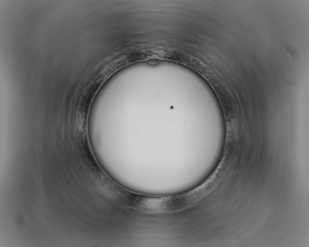 X0000115110178200911101613