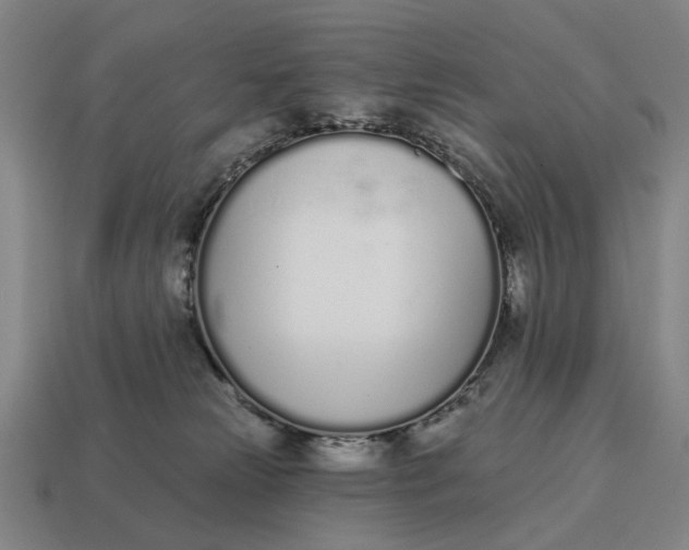 X0000115110181200911101613