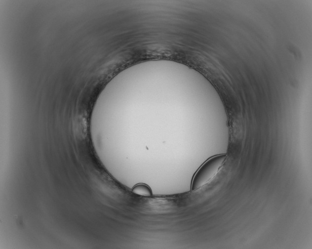 X0000115110183200911101613