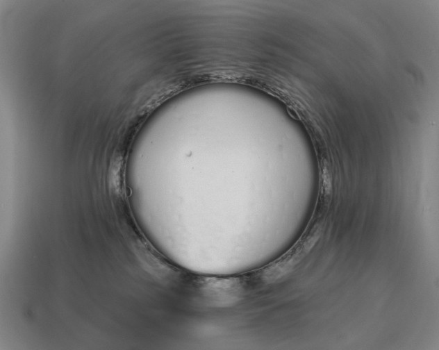 X0000115110185200911101613