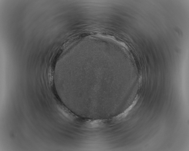 X0000115110186200911101613