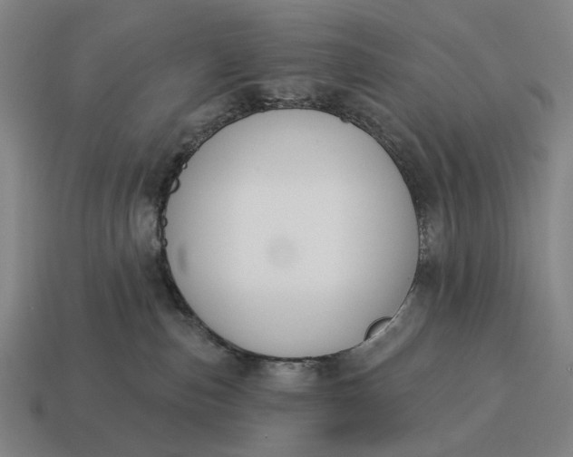 X0000115110187200911101613