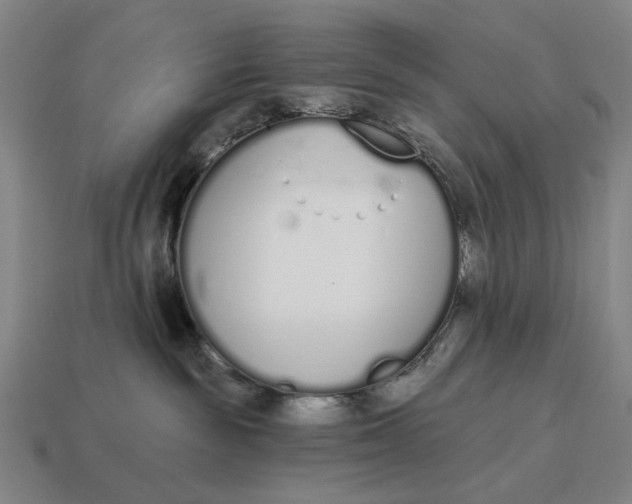 X0000115110189200911101613