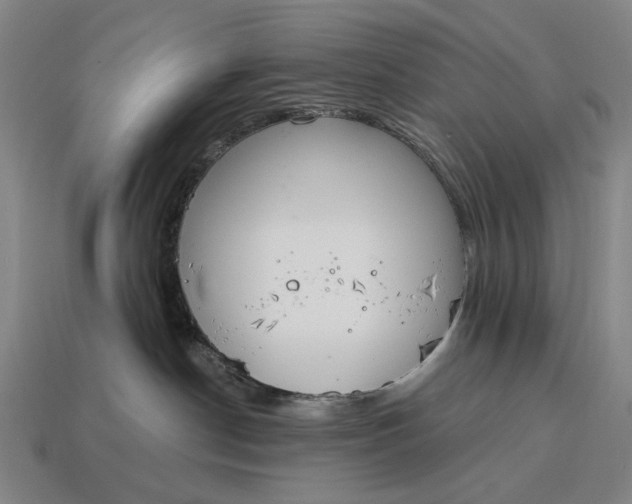 X0000115110190200911101613