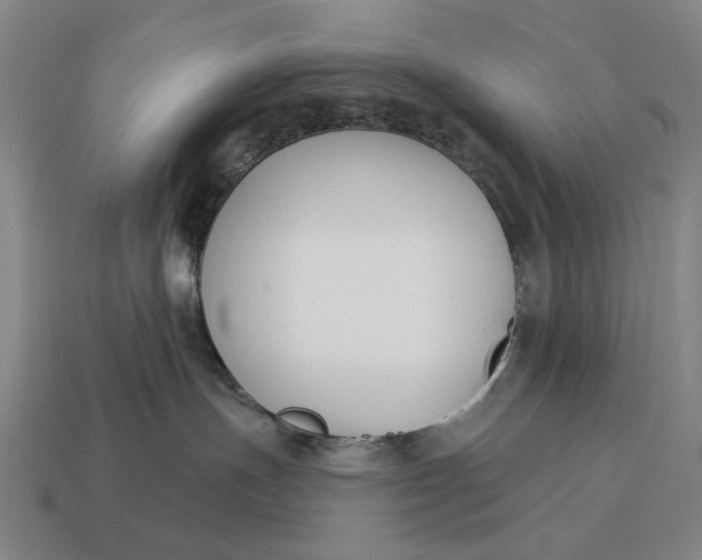 X0000115110191200911101613