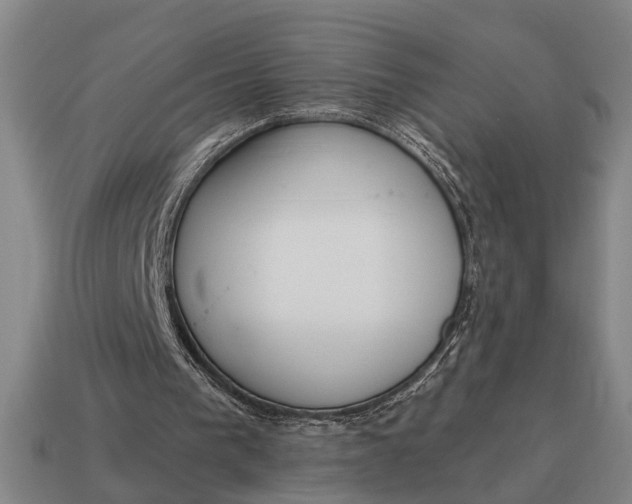 X0000115110193200911101613