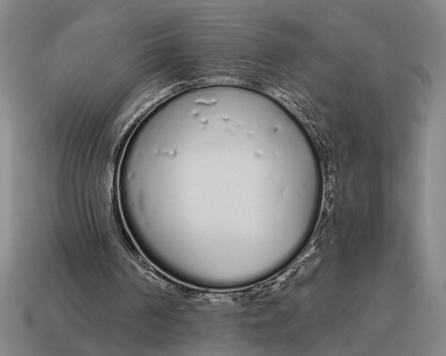 X0000115110194200911101613