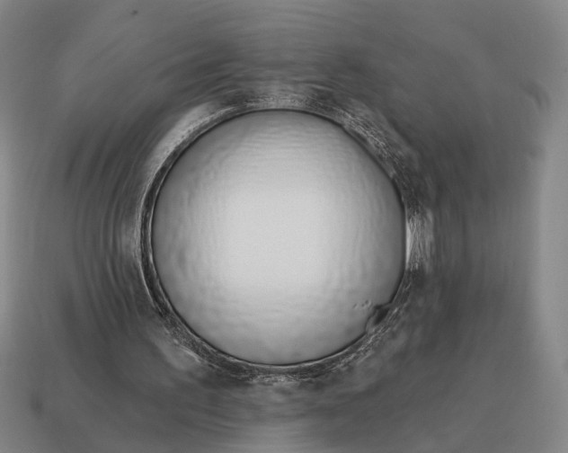 X0000115110195200911101613