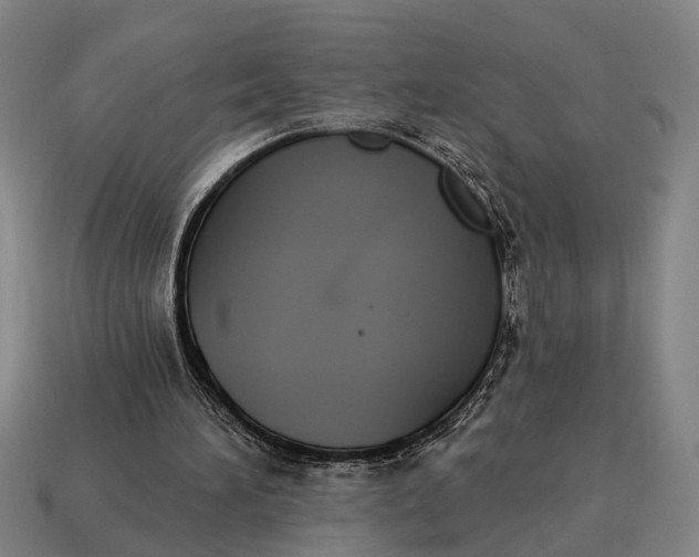 X0000115110196200911101613