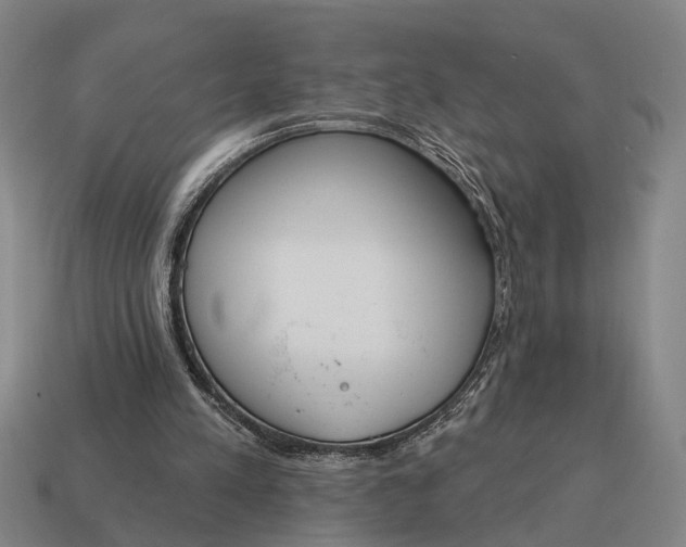 X0000115110197200911101613