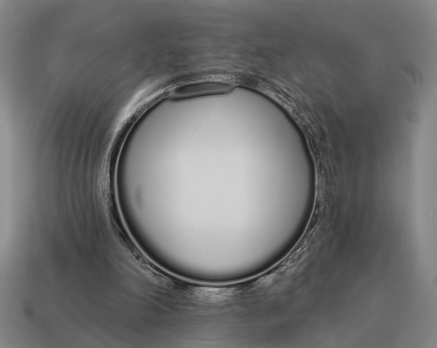 X0000115110198200911101613