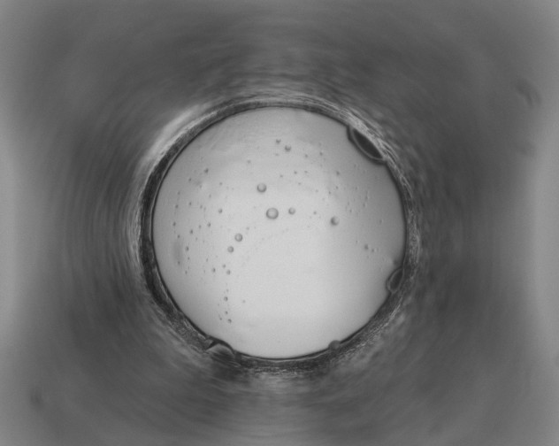 X0000115110199200911101613