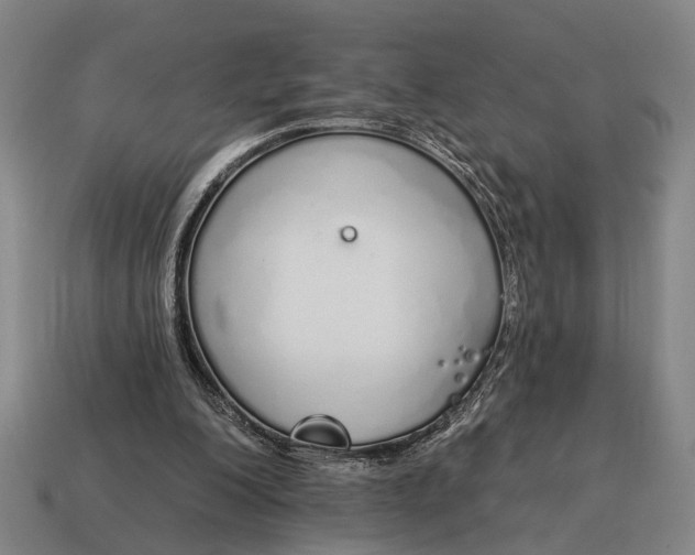 X0000115110200200911101613