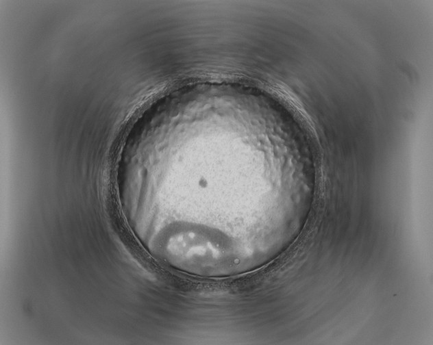 X0000115110202200911101613