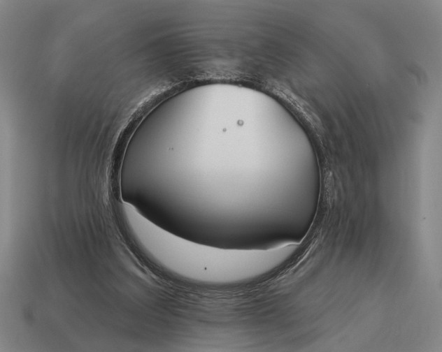 X0000115110203200911101613
