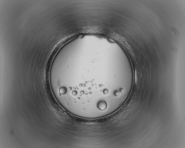 X0000115110204200911101613