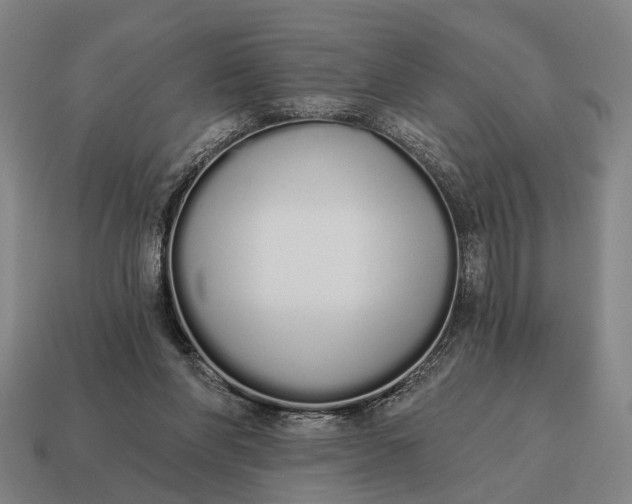 X0000115110206200911101612