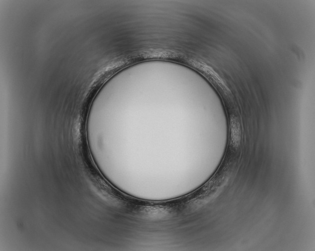 X0000115110207200911101612