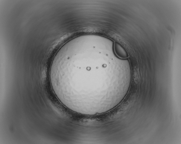 X0000115110208200911101612