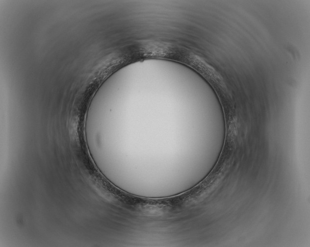 X0000115110209200911101612
