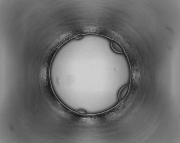 X0000115110211200911101612