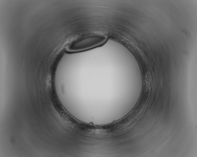 X0000115110212200911101612
