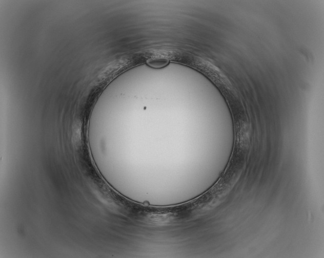 X0000115110213200911101612