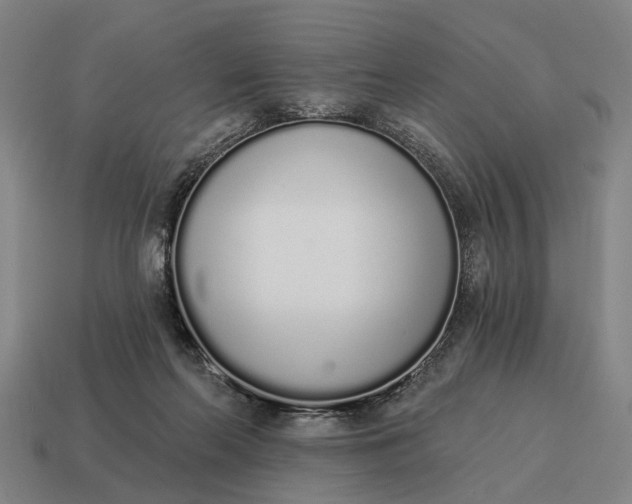 X0000115110214200911101612