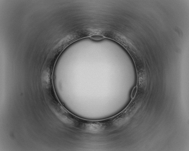 X0000115110215200911101612