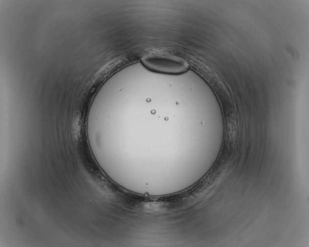 X0000115110216200911101612