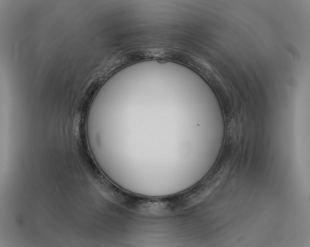 X0000115110217200911101612