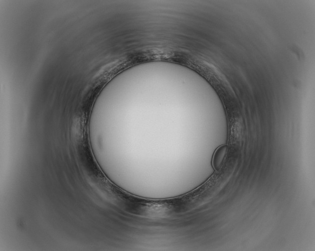 X0000115110218200911101612