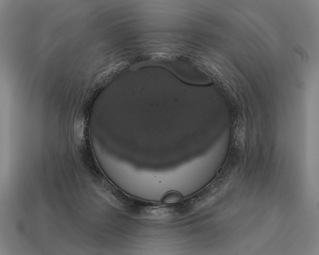 X0000115110219200911101612