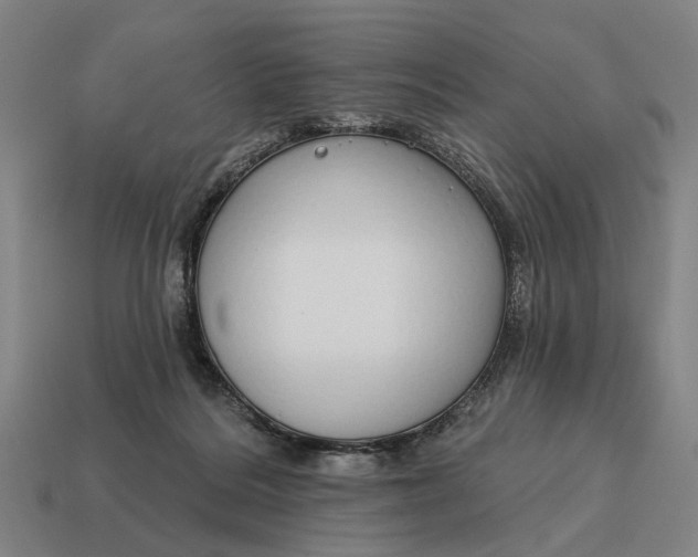X0000115110220200911101612