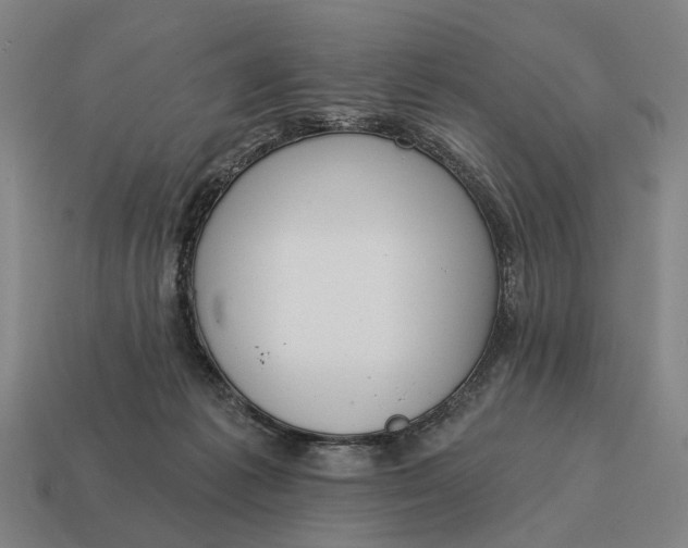 X0000115110221200911101612