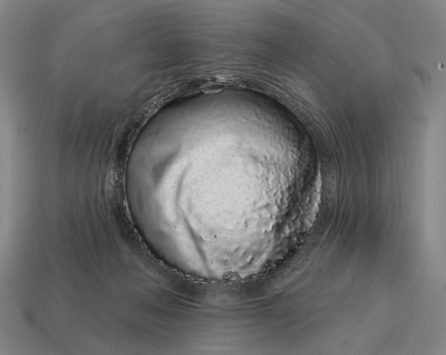 X0000115110222200911101612