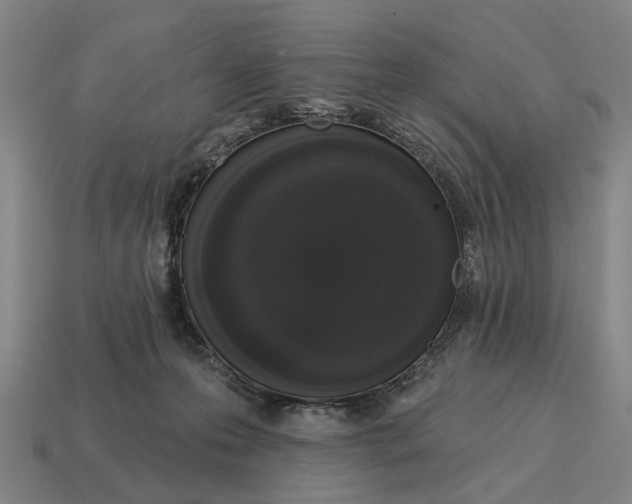 X0000115110223200911101612