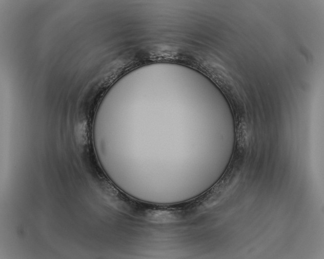 X0000115110224200911101612