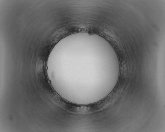 X0000115110225200911101612