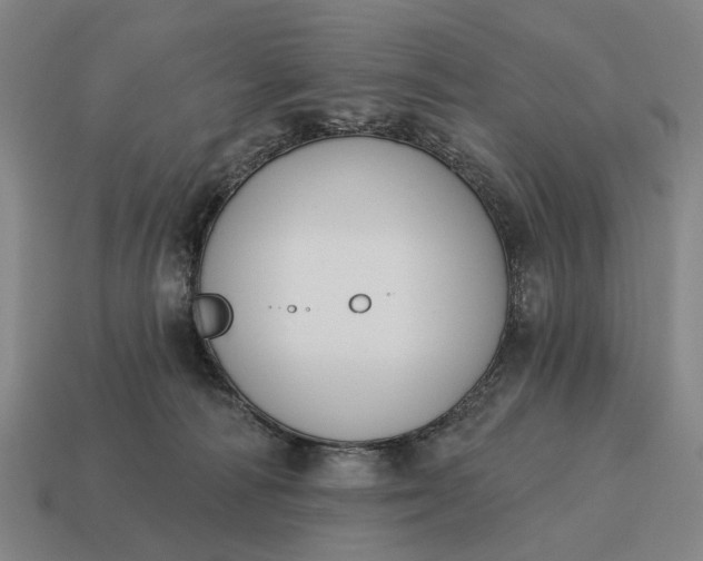 X0000115110226200911101612