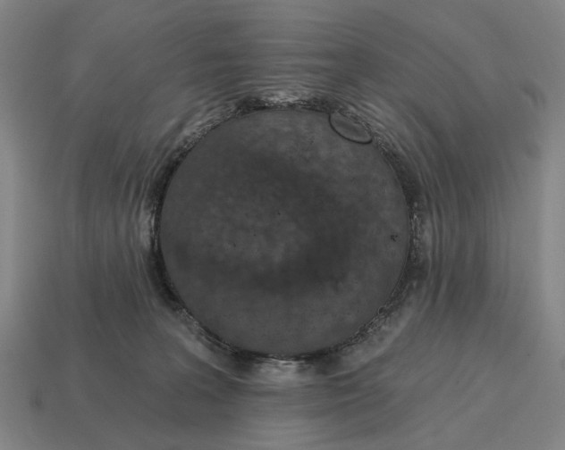 X0000115110227200911101612