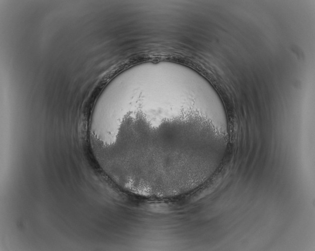 X0000115110228200911101612