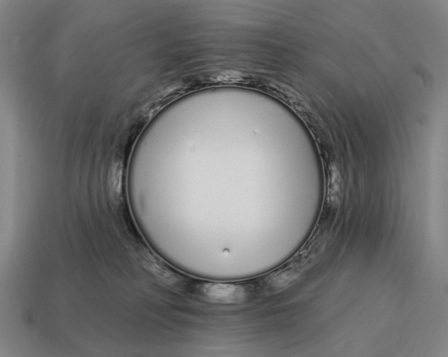 X0000115110230200911101612