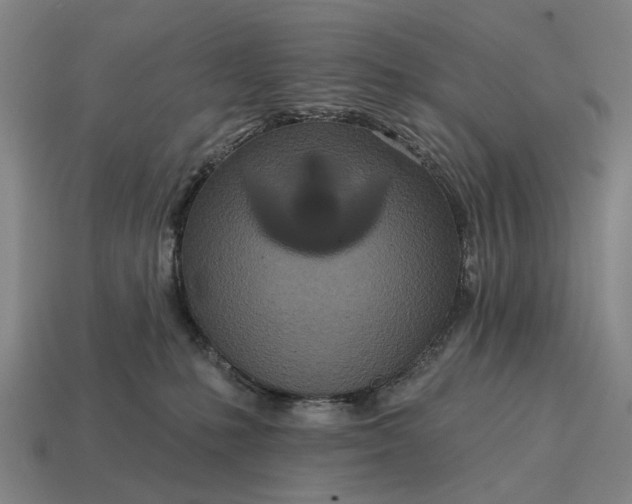 X0000115110231200911101612