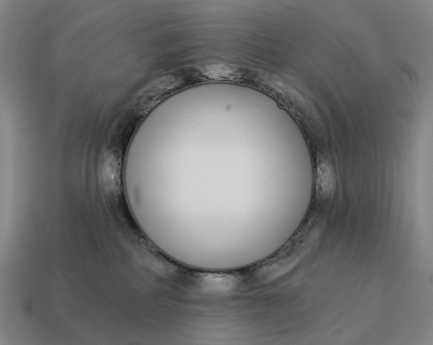X0000115110234200911101612