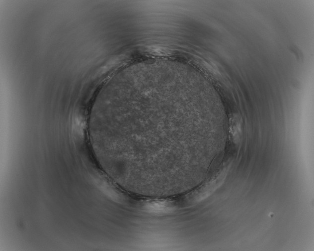 X0000115110235200911101612