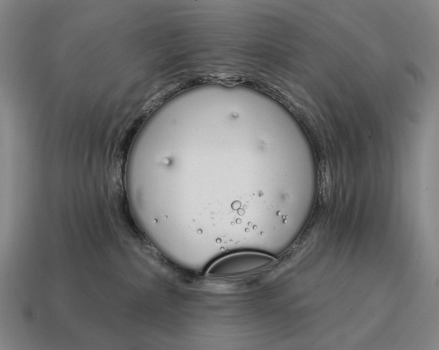 X0000115110236200911101612
