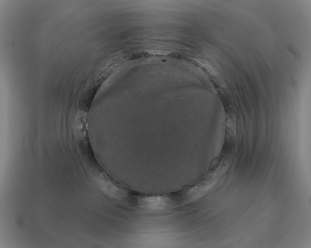 X0000115110237200911101612